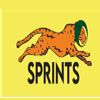 Sprints